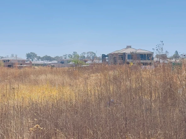 Stands & Residential Land