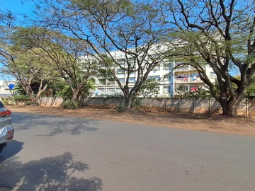 Flat & Apartment