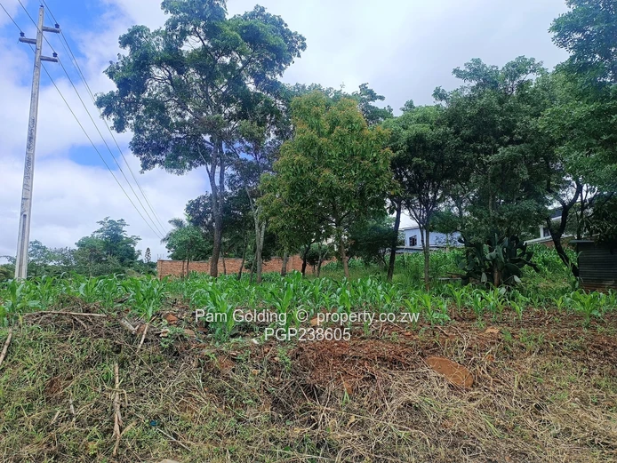 Corner Residential Stand For Sale!