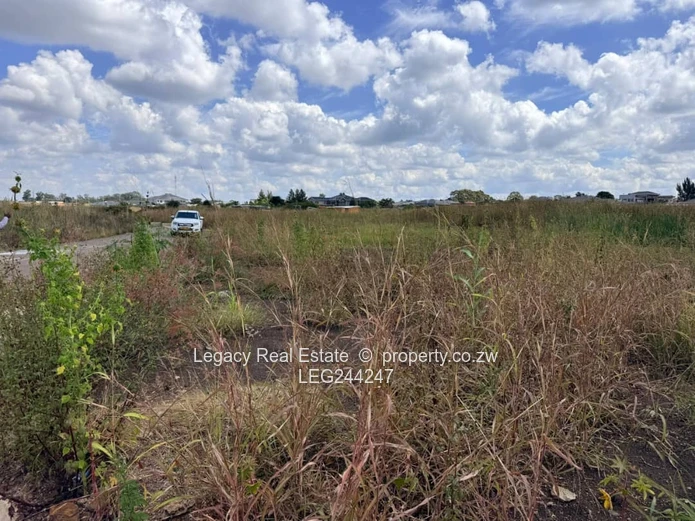 Good Investment Opportunity - Corner Stand in a Prime location.