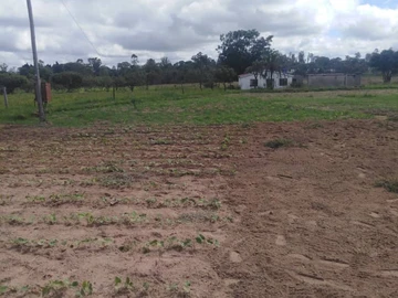 Farm & Agricultural Land