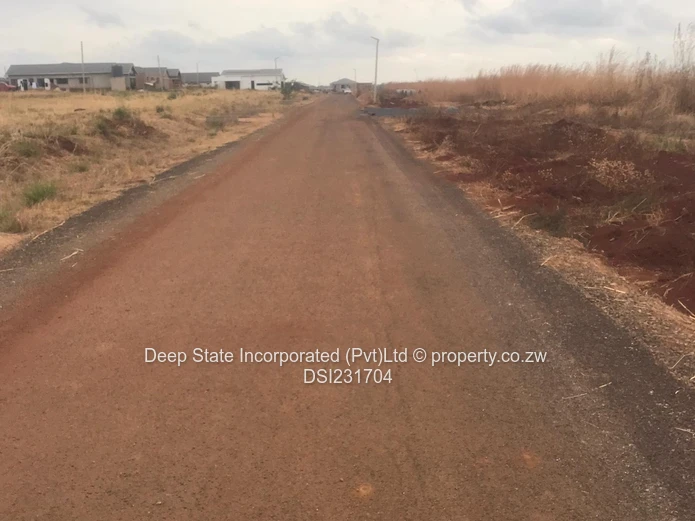 Nyeredzi stand for sale 