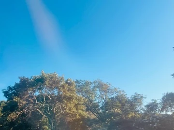 Farm & Agricultural Land