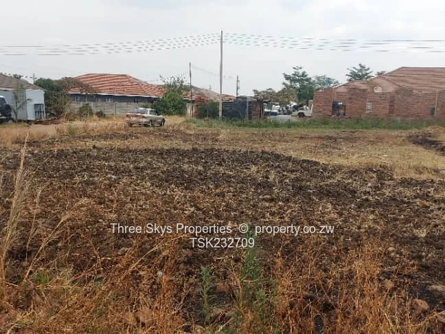 Maranatha Park Stand For Sale