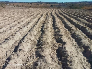Farm & Agricultural Land