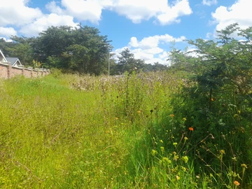 Stands & Residential Land