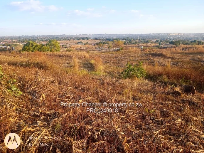Commercial Stand for Sale in Glenforest 