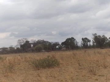 10Ha Plots Suitable For Projects