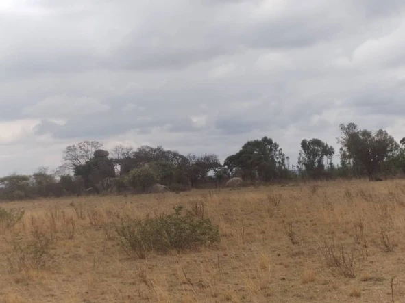 Farm & Agricultural Land