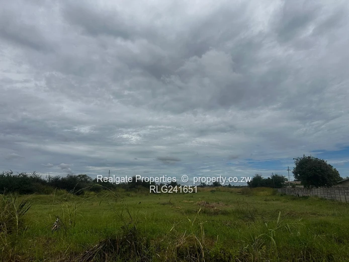 Woodville Stand For Sale