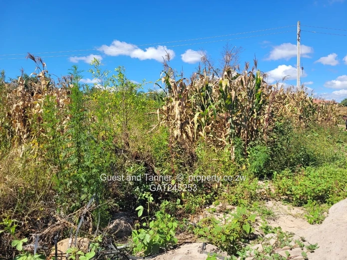 Stand For Sale  In Crowhill