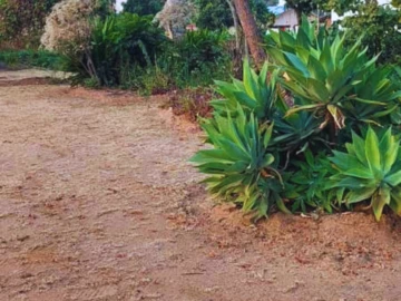 Commercial & Industrial Land