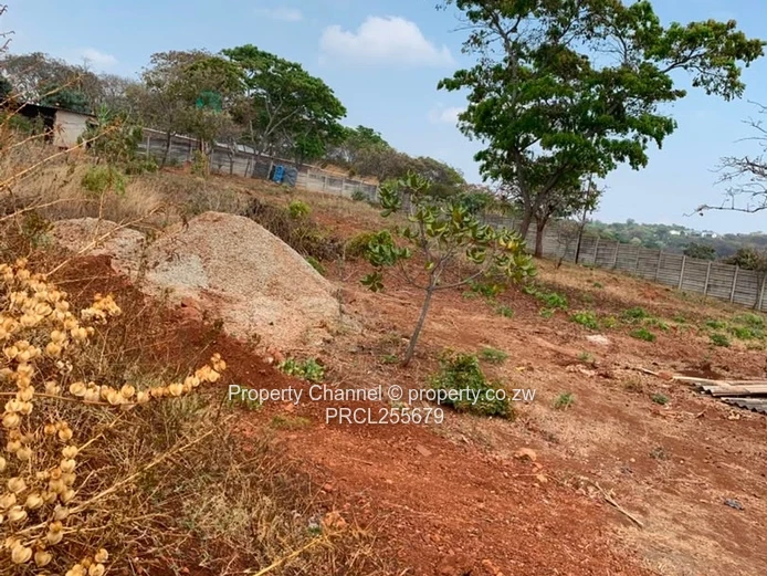 2,100m² Plot on Paved Road with Palm Trees, Hogerty Hill