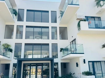 Flat & Apartment