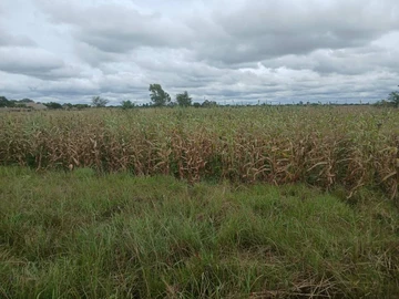 Farm & Agricultural Land