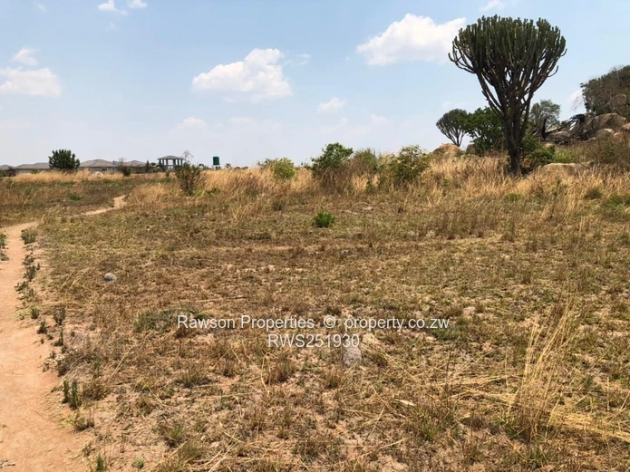 Agro residenial plot  (Sole Mandate)