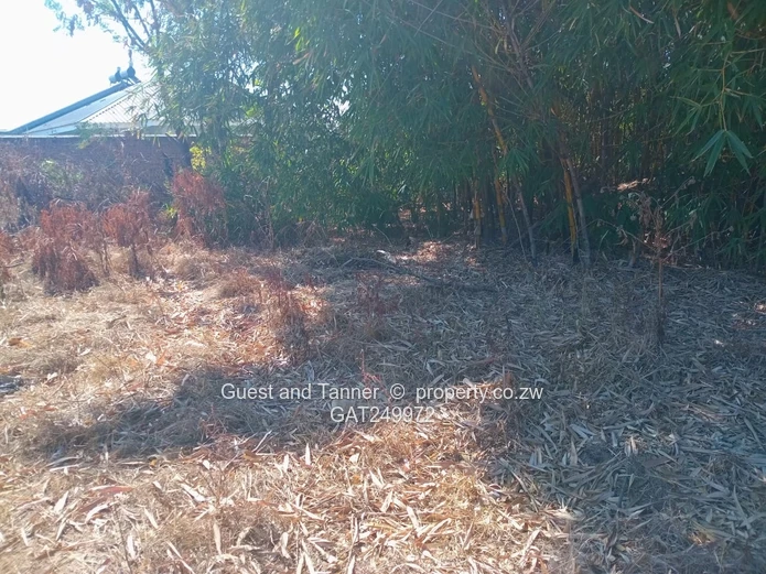 Stand for Sale - Waterfalls Prospect 