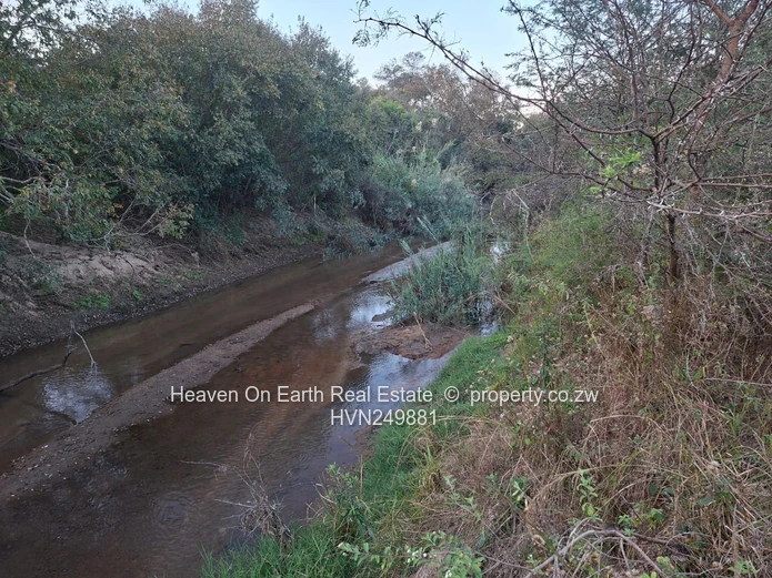Plots with a river