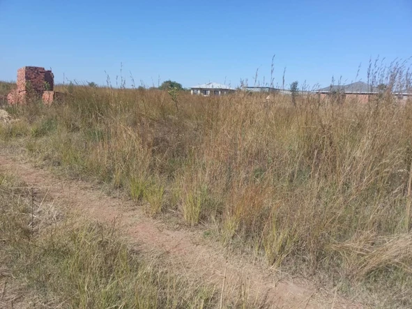 Stands & Residential Land