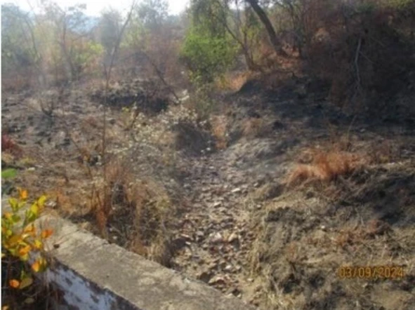 Commercial & Industrial Land
