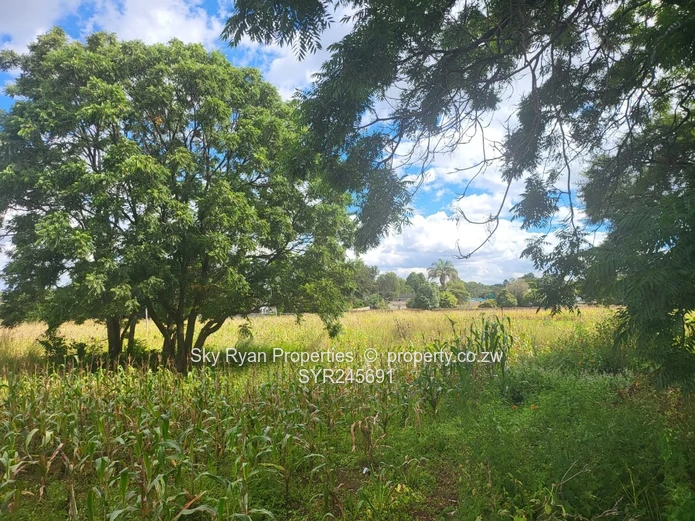 8 Stands For Sale In Borowdale