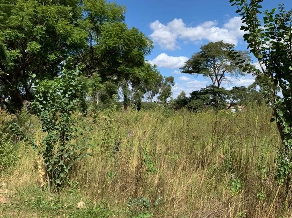 Commercial & Industrial Land