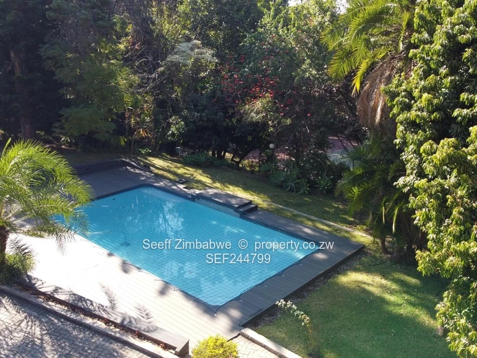 Secure And Beautiful Family Home