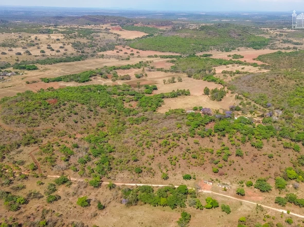 Farm & Agricultural Land
