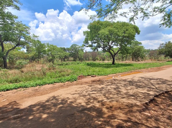 Stands & Residential Land