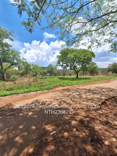Vacant residential stands 