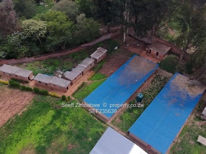 Prime Agro-Residential Property for Sale in Serene Location