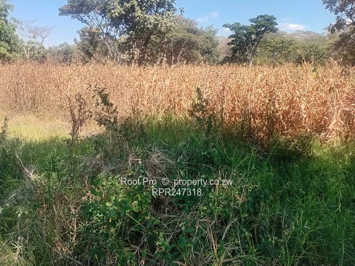 Highlands Land For Sale 