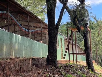 Farm & Agricultural Land