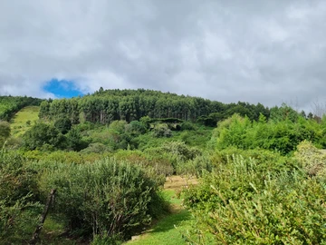 Farm & Agricultural Land