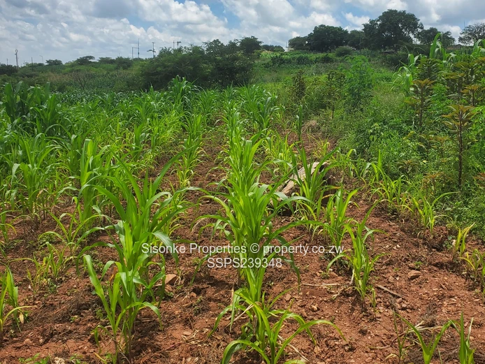 9,600 sqm Roadside Industrial Land , Chinhoyi