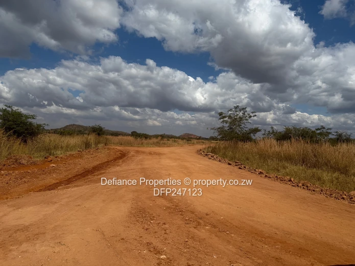 Terms Terms Terms Doornfontein
