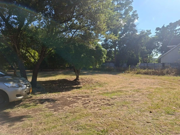 Stands & Residential Land