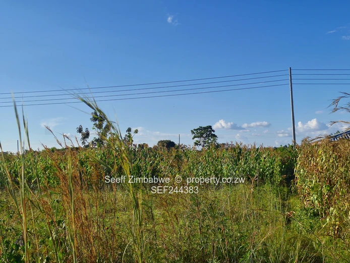 Tawona Gardens Residential Stand in Ruwa (Sole Mandate)