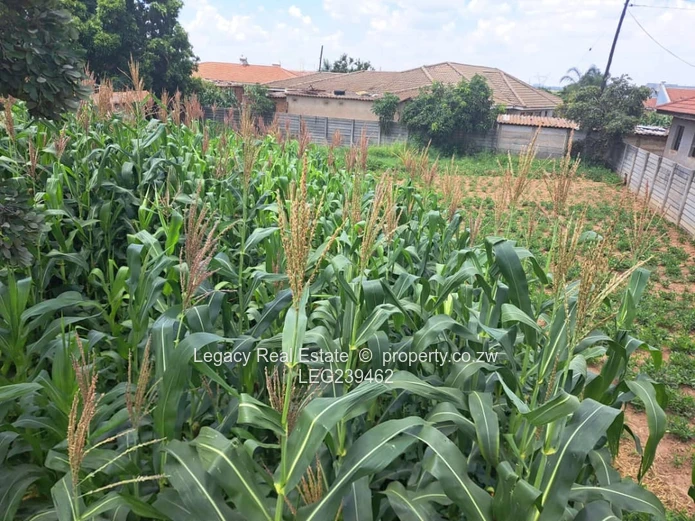 Granary Park Harare –corner stand for sale measuring 569sqm