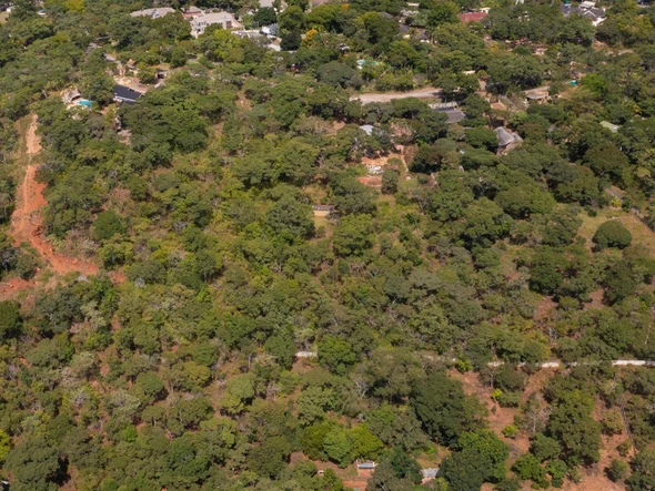 Living Amongst The Msasas With Beautiful Views