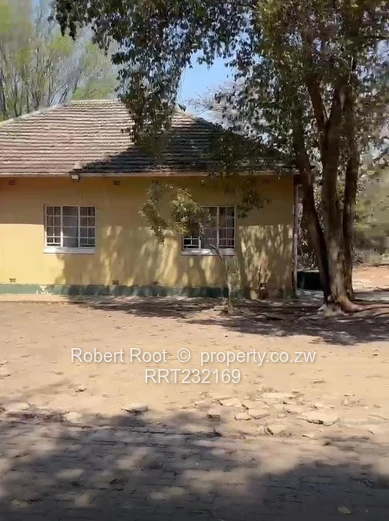 Sole Mandate :  The Visionary Developer's Dream 