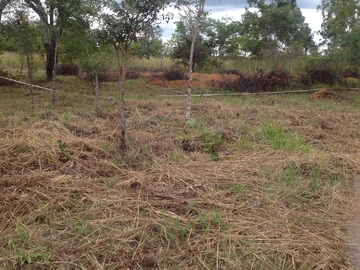 Land for Sale in Ruwa, Gof course Resort