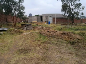 Stands & Residential Land