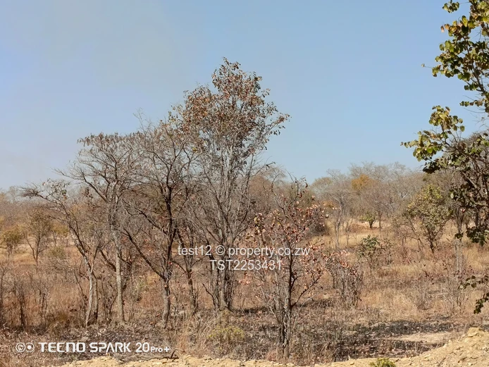 Mazowe Farm For Sale  (Sole Mandate)