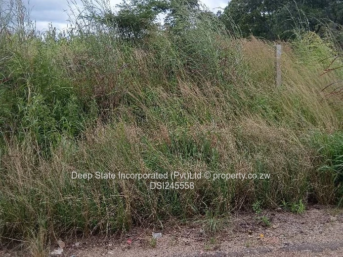 Chishawa Hills stand for sale 