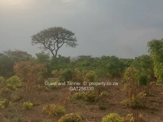 432m² RESIDENTIAL STAND for SALE| TYNWALD