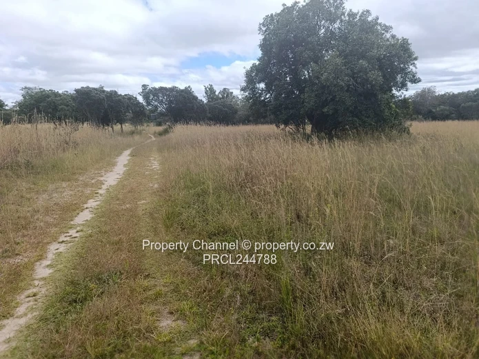Prime Flat Agro Plot – Ideal for Farming, dwelling & Investment