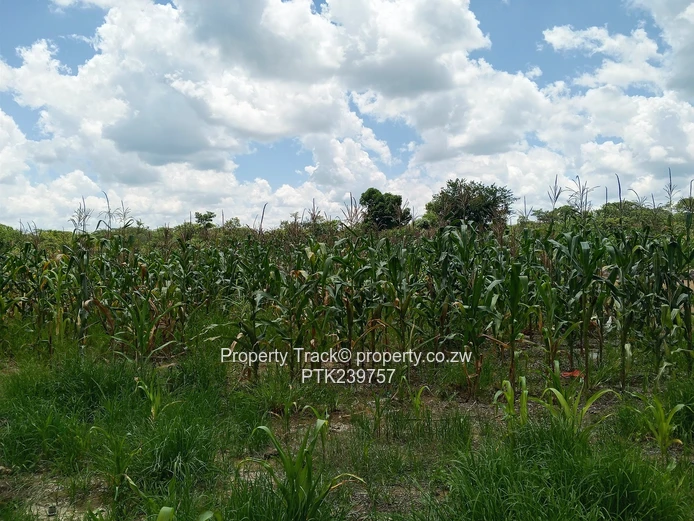 Agro-residential plots!