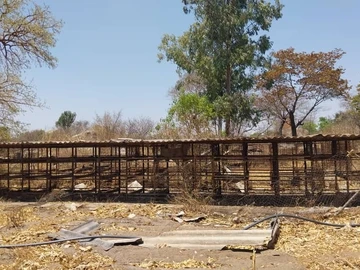 Farm & Agricultural Land