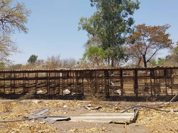 Farm & Agricultural Land